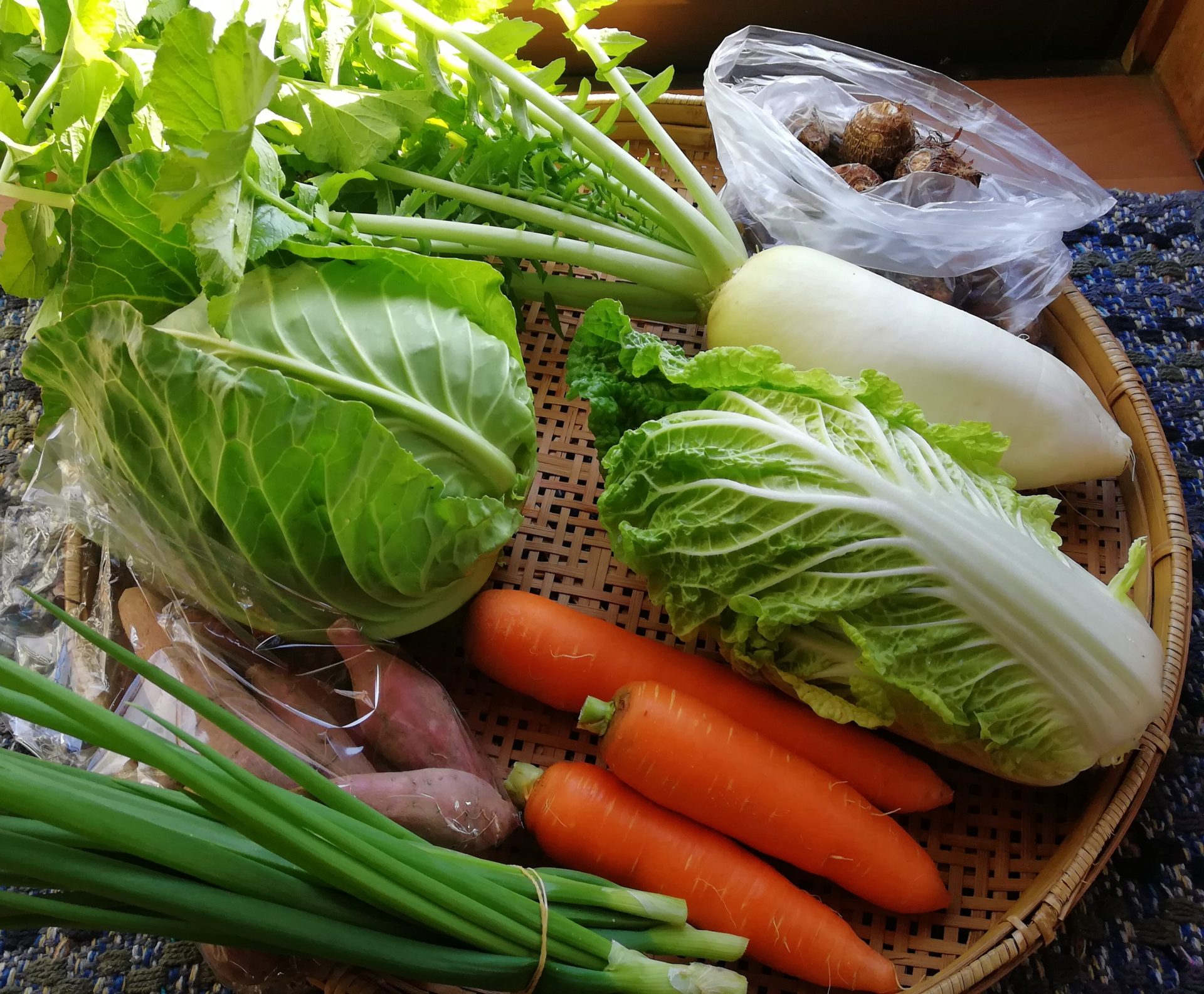 ココニコヒロバ 無農薬野菜セットの宅配 こころ にこにこ あんしんおやさい 愛知県江南市で有機野菜 無農薬野菜を作っています
